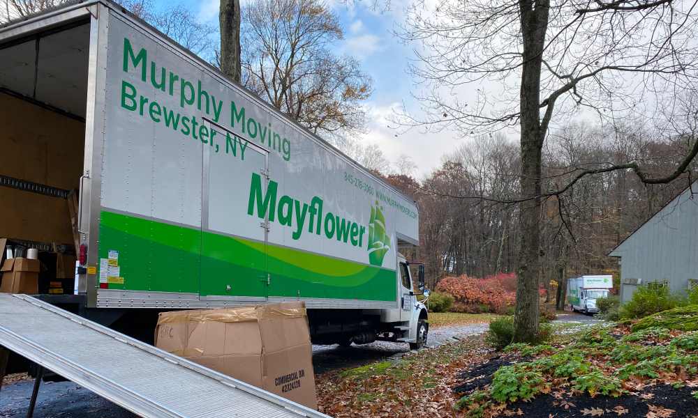 Beyond Moving: Home Setup Services That Help You Settle in Quickly