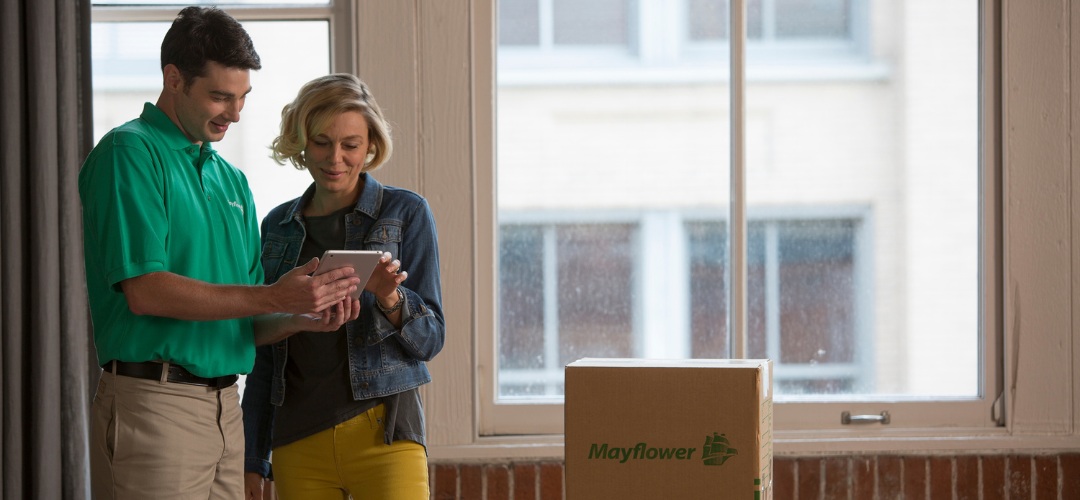 professional mover wearing a green polo shirt